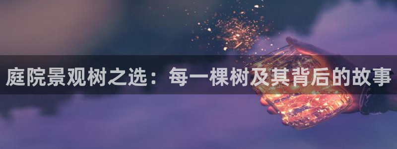 新宝gg 彩票