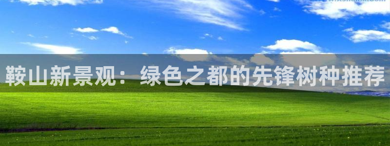 新宝gg娱乐平台
