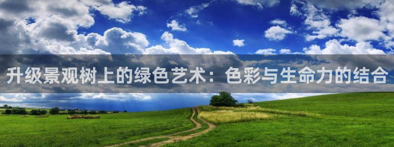 新宝gg龙虎规则