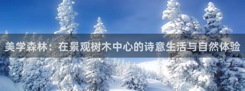 新宝gg公司