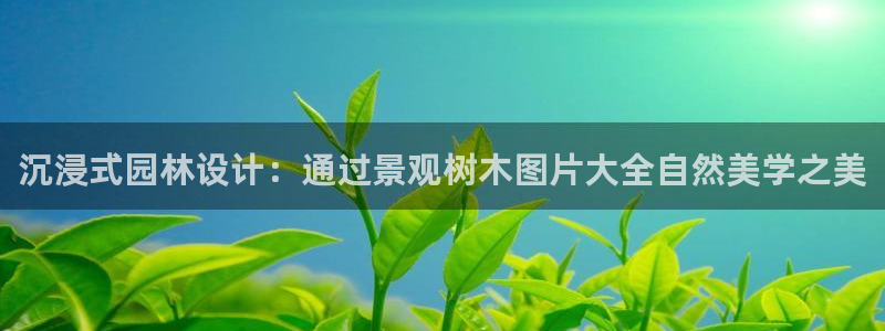 新宝gg挂机软件下载