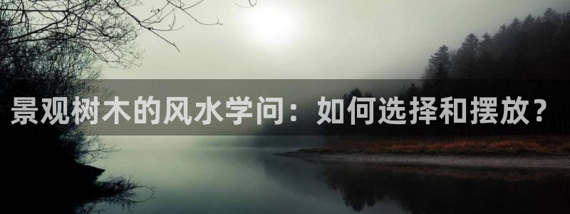 新宝gg 网址