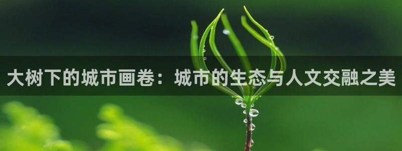 新宝gg重庆