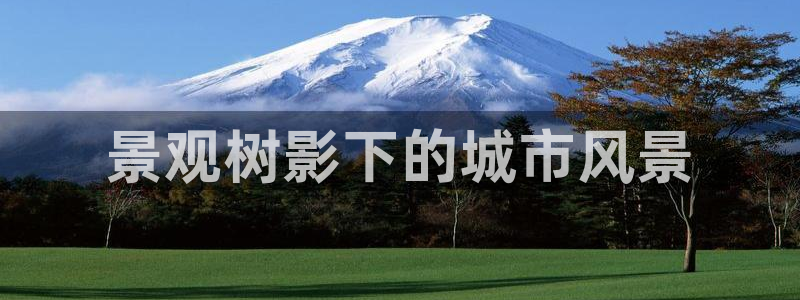 新宝gg登陆平台