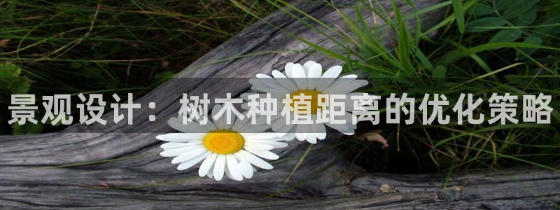 新宝gg样