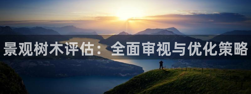 新宝GG桌面