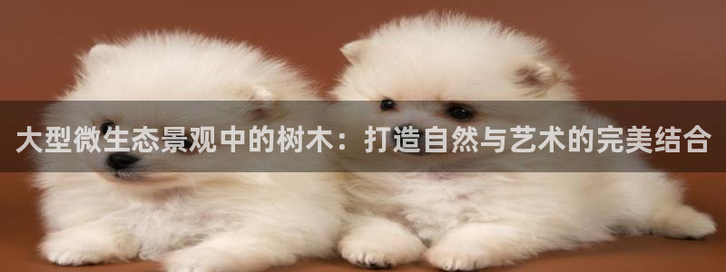 新宝gg：大型微生态景观中的树木：打造自然与艺术的完美结合