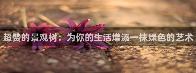 新宝集团gg