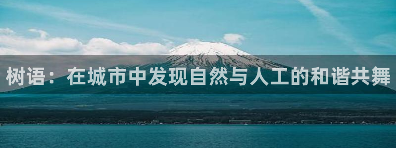 新宝gg类似