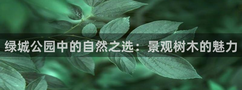 新宝gg 创造