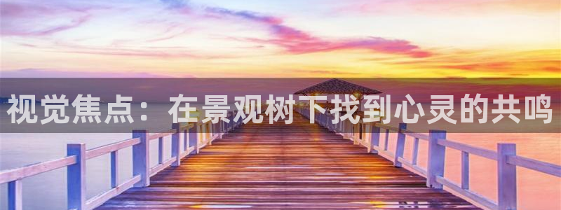 l新宝gg