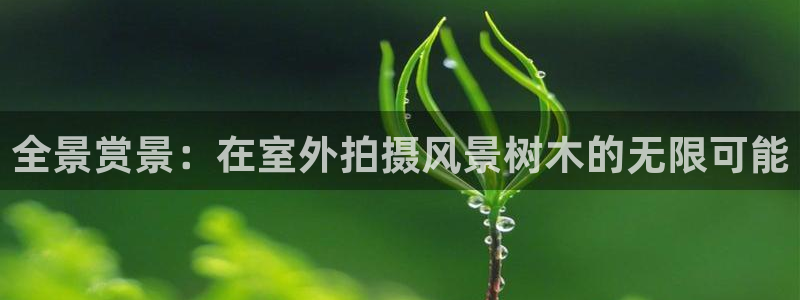 新宝gg登