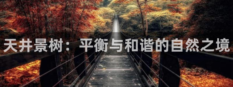 新宝gg平台下载安装