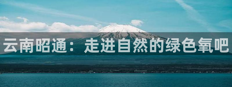 新宝GG手机客户端