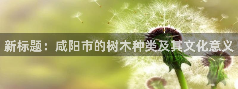 新宝gg娱乐上皇巢网