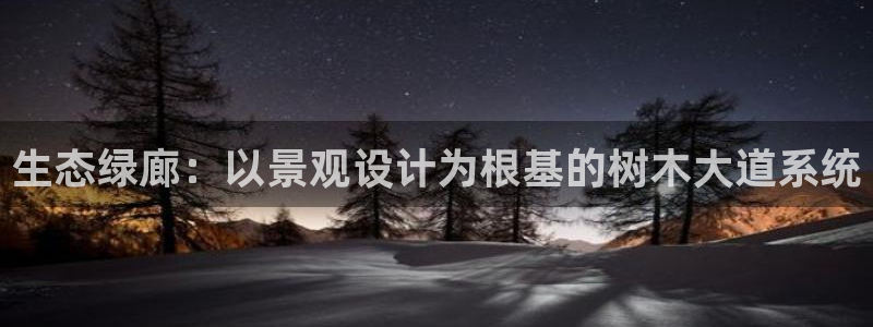 新宝gg创造奇迹 新宝gg