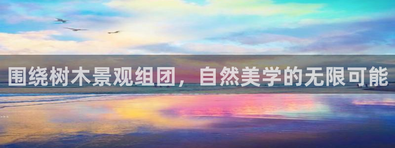 新宝gg创造奇迹登陆