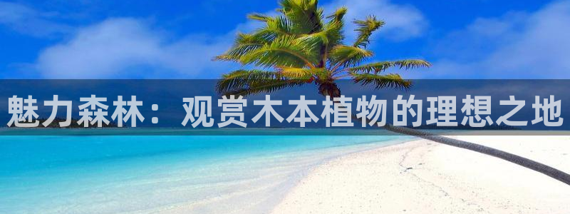 新宝gg主管都是谁