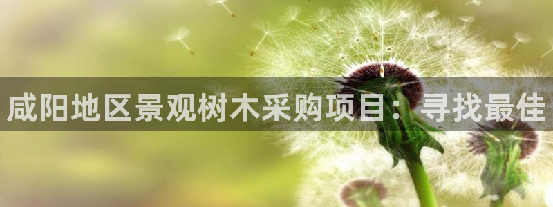 新宝GG询问29999:咸阳地区景观树木采购项目:寻找最佳