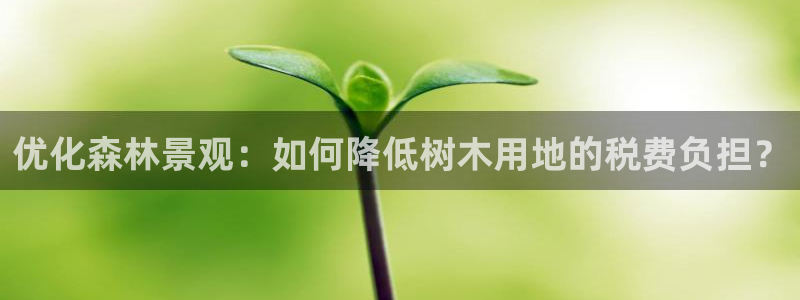 新宝gg开奖结果可信吗