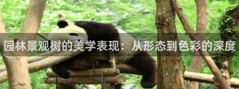 新宝GG最高返点多少