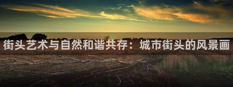 新宝gg创造奇迹 新宝gg