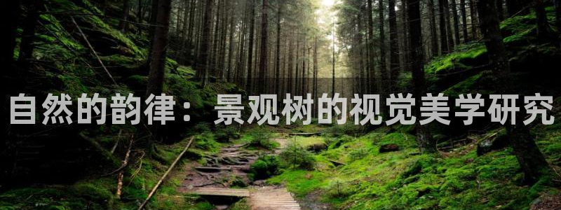 新宝gg金砖彩票