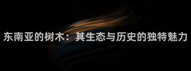 新宝GG53339咨询新宝GG