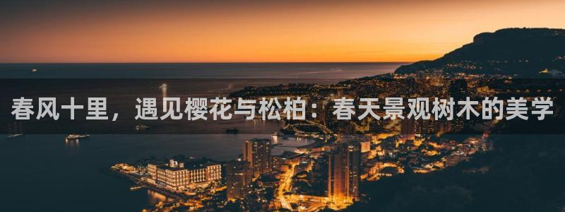 新宝gg有规律么