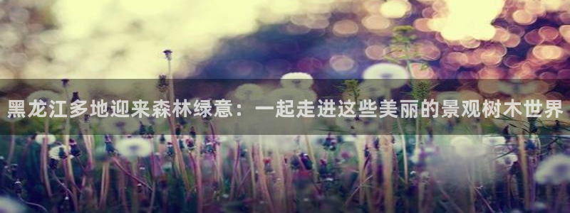 新宝gg创造奇迹平台:黑龙江多地迎来森林绿意:一起走进这些美丽的景观树木世界