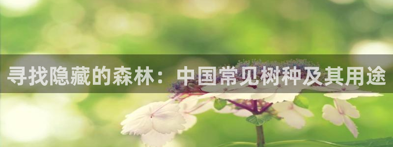 新宝GG专业团队