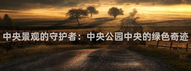 新宝gg客服电话