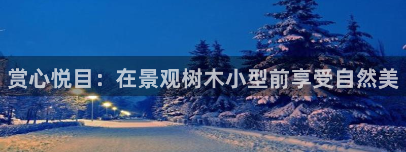 新宝GG正规78778:赏心悦目:在景观树木小型前享受自然美