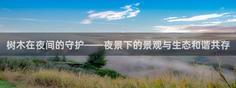 新宝gg一创造奇迹