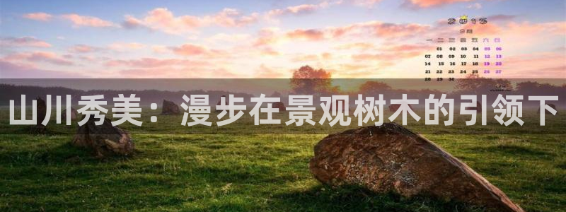 新宝gg找回账号