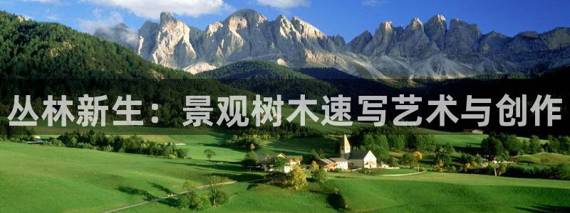 新宝GG专业团队