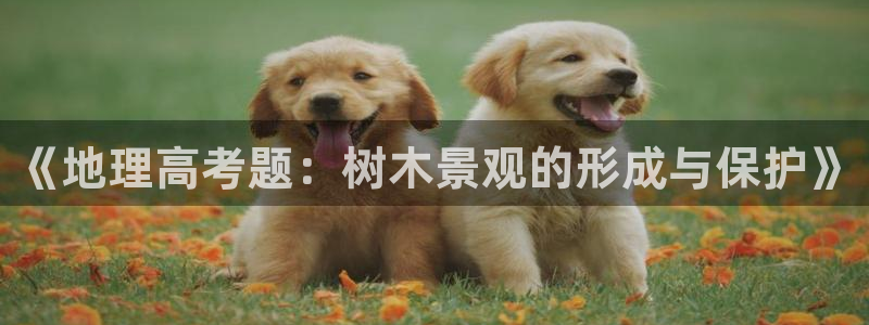 网站是新宝gg:《地理高考题:树木景观的形成与保护》