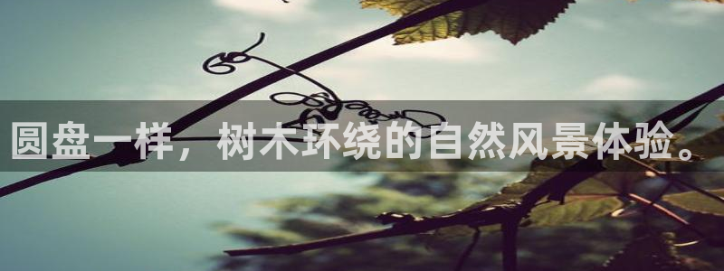 新宝GG—创造奇迹