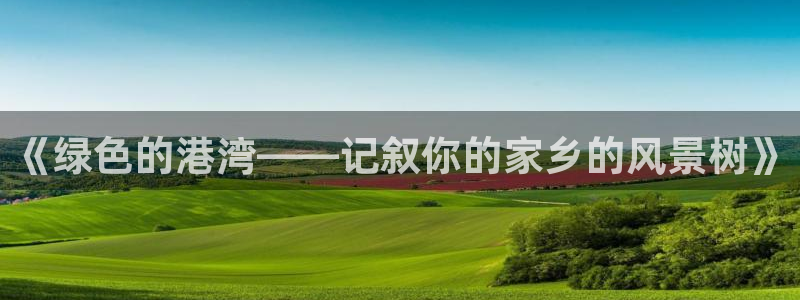 新宝gg怎么做代理