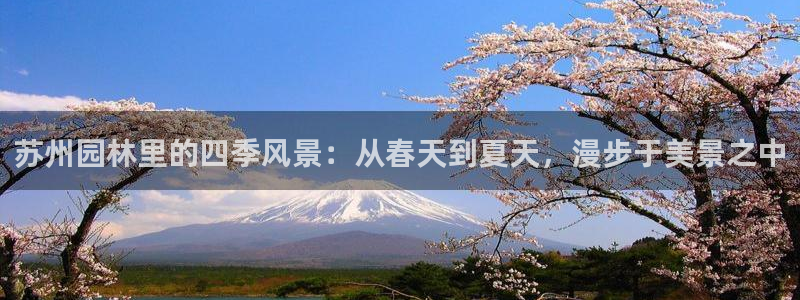 新宝gg.:苏州园林里的四季风景:从春天到夏天,漫步于美景之中