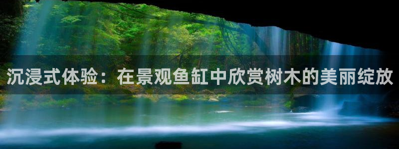 新宝gg返点1956是多少