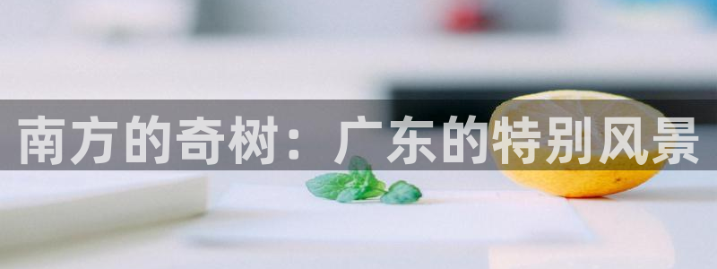 广东新宝电器gg