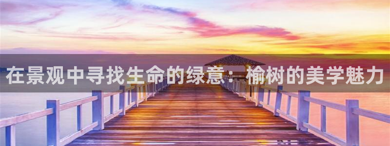 新宝gg客户端下载