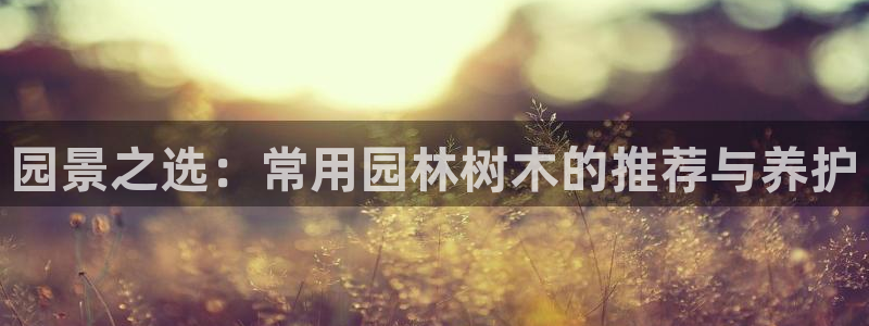 新宝六与新宝gg