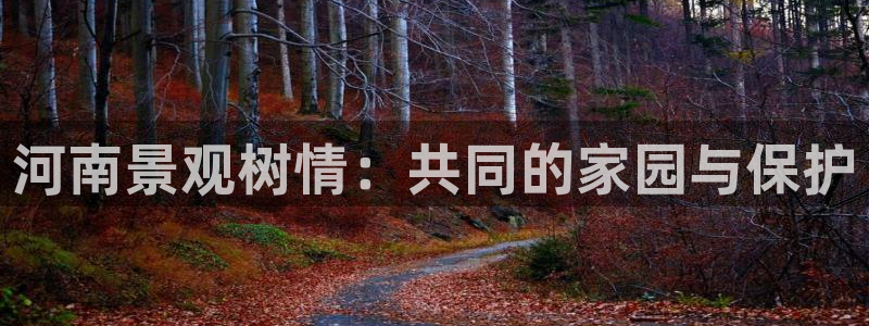 新宝新宝gg开户流程