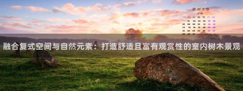 新宝gg平台首页