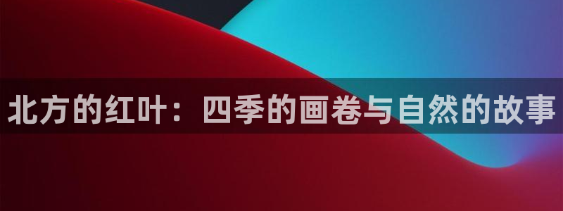 旧版新宝GG