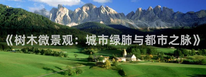 新宝gg怎么开户