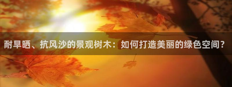 新宝gg系列
