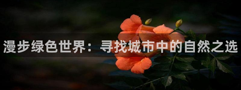 新宝gg分红